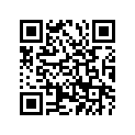 277-21110-01-33 FRAME