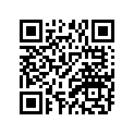 277-81300-11-00 