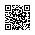 277000818 Douille D Appui*bushing-support