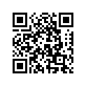 277002010 Lock