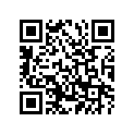 278-17211-00-00 