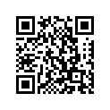 278-17251-00-00 