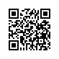 278-21745-00-00 