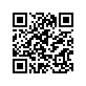 278-24731-00-00 