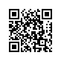 278002139 Module Support ( )