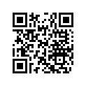 278002210 SAFETY LANYARD, RENTAL