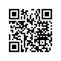 278002632 HARNESS - ACC./REWORK