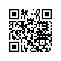 279000205 Plunger