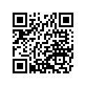 28011-0633 METER                              CN