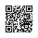 28333-300-000 Пружина кик-стартера