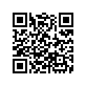28410-ZG0-W02ZD CASE*R280*