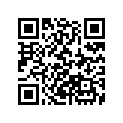 28455-ZV1-000 RUBBER