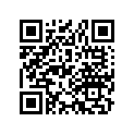 28464-950-003 NUT (14MM)