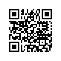 28733-10 FOAM PAD