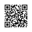288-81300-11-00 FLYWHL MAGNETO ASY