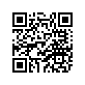 28L-83578-00-00 Головка, измеритель