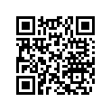290215202 Segment R 76.50*r-ring 76.50