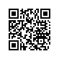 290837380 Arbre Balanc.  *shaft-balance