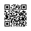 291-25398-20-00 Балансир колеса