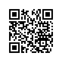 291000396 Tapis Arr.dr.  *carpet-rh.rear