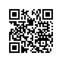 291000511 Tapis Droit    *carpet-rh.
