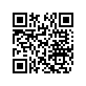 291000715 Amortisseur    *shock