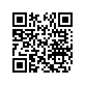 291001098 Restricteur    *restrictor