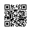291001244 Amortisseur    *shock
