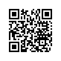 291001666 Antiderapant-ga*anti-skid-lh