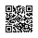 291001737 Tapis Arr.dr.  *carpet-rh.rear