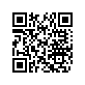 291002484 ANTI SLIP MAT CTRL L