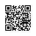 291004055 Foot Support
