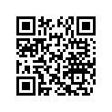 291004194 Footrest RH