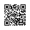 291004561 Silver RH Cosmetic