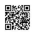291005047 Anti Slip Mat FRT RH
