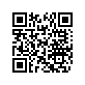 291005178 Mirror Support