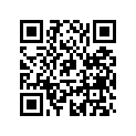 293000112 Cap
