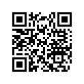 293300060 O-RING