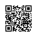 293370018 Circlip        *circlip
