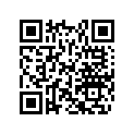 293370020 Circlip        *circlip