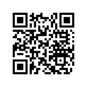 293370031 Circlip        *circlip