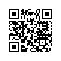 293830178 Pad-Rubber