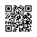 293830180 Pad-Rubber