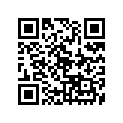 294-21110-00-33 FRAME