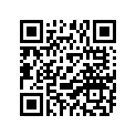 296-16524-21-00 