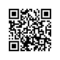 296-21511-22-GV ﾌｴﾝﾀﾞ,ﾌﾛﾝﾄ