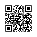 296-21511-23-P6 ﾌｴﾝﾀﾞ,ﾌﾛﾝﾄ