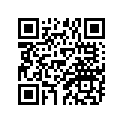 296-24610-00-00 