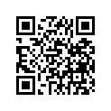 296-25398-10-00 Балансир колеса