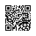 298-11422-00-00 CRANK 2